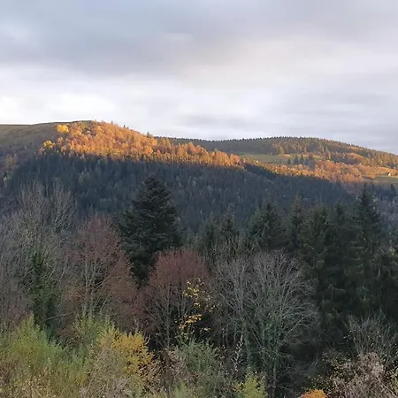 La Ferme Les Digitales Bain Nordique, Billard *