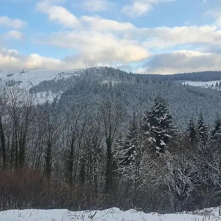 La Ferme Les Digitales Bain Nordique, Billard 度假居